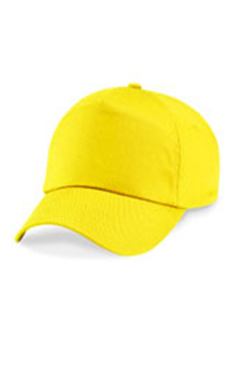cap.jpg (31,785 bytes)